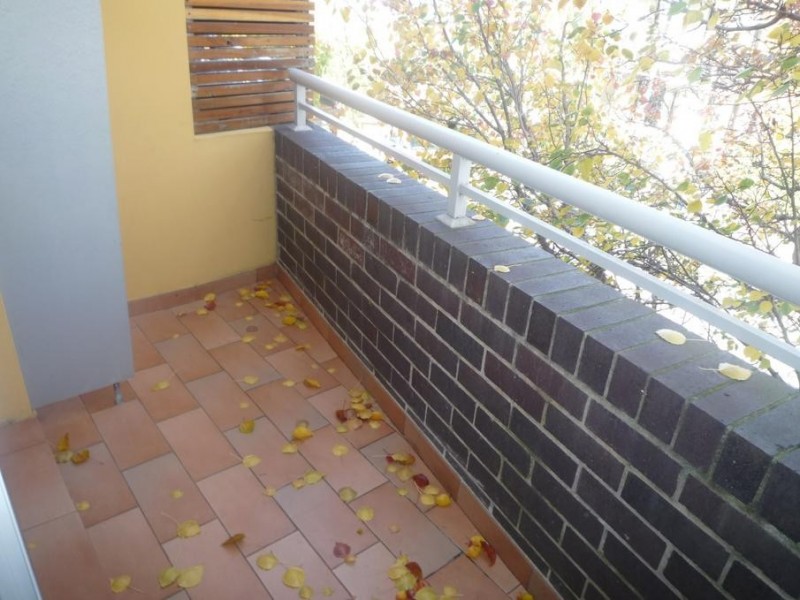 Petersham NSW 2049