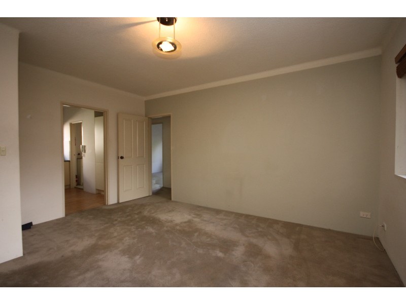 Ashfield NSW 2131