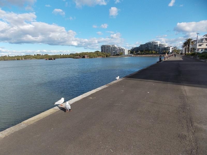 Wentworth Point NSW 2127