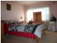 North Strathfield NSW 2137