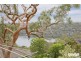 1 Pine Street, Lugarno NSW 2210