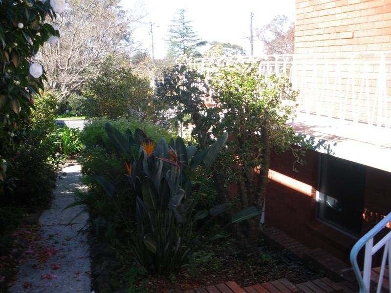 98 Woronora Pde, Oatley NSW 2223