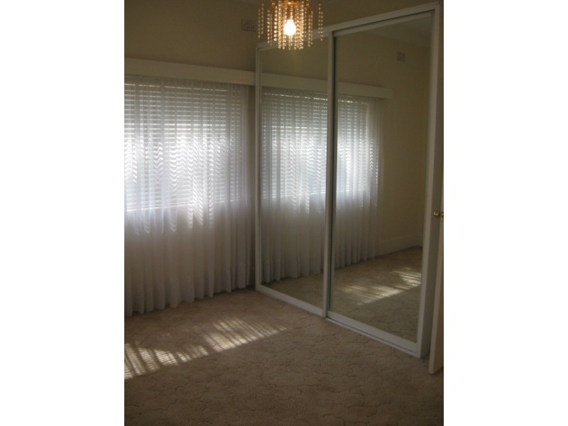 11 Roach Street, Arncliffe NSW 2205