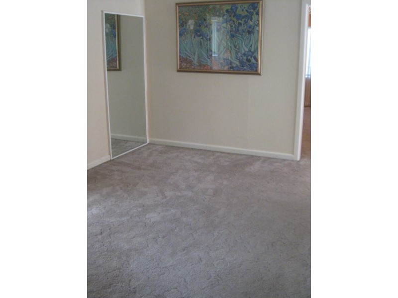 11 Roach Street, Arncliffe NSW 2205