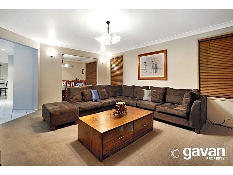 117 Iberia Street, Padstow NSW 2211