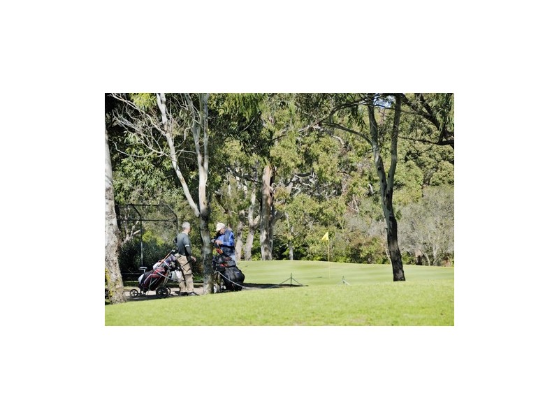 11 Peace Avenue, Peakhurst Heights NSW 2210