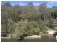 12 Riverside Drive, Lugarno NSW 2210