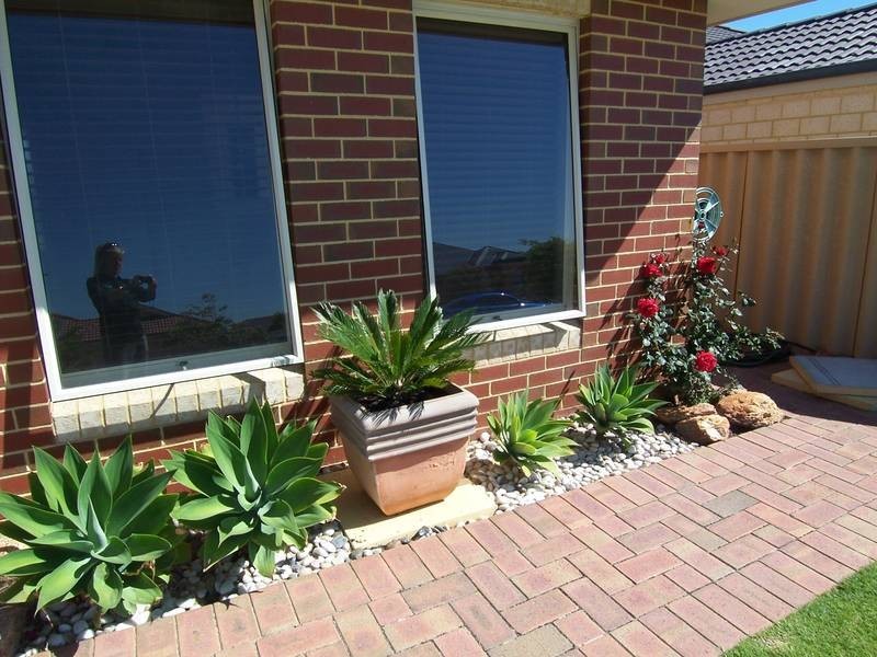 8 Silverton Avenue, Butler WA 6036