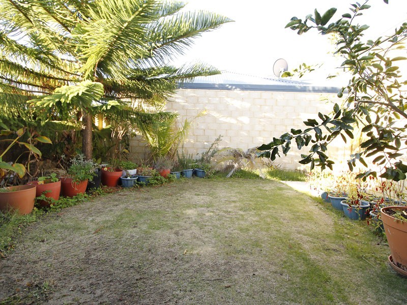 93 Homebush Drive, Butler WA 6036