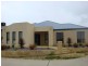 41 Haslingfield Way, Butler WA 6036