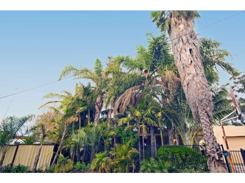 7 Wykes Court, Wanneroo WA 6065