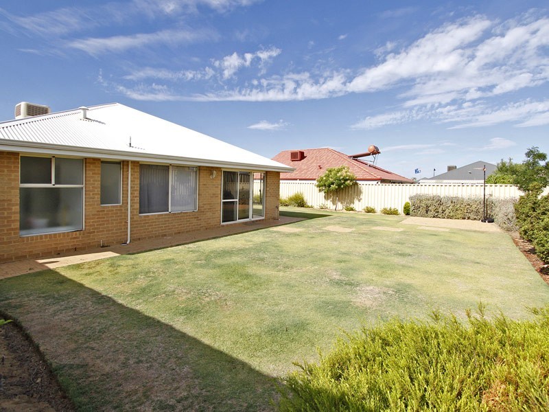 6 Upham Brace, Butler WA 6036