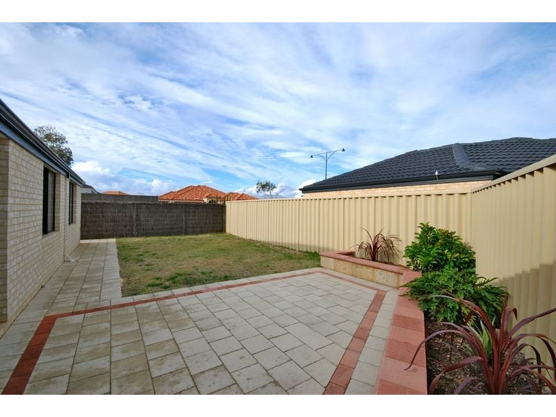 16 Bodorgan Avenue, Butler WA 6036