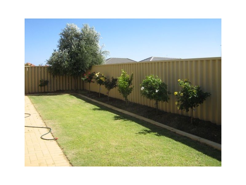 7 Leyland Road, Butler WA 6036