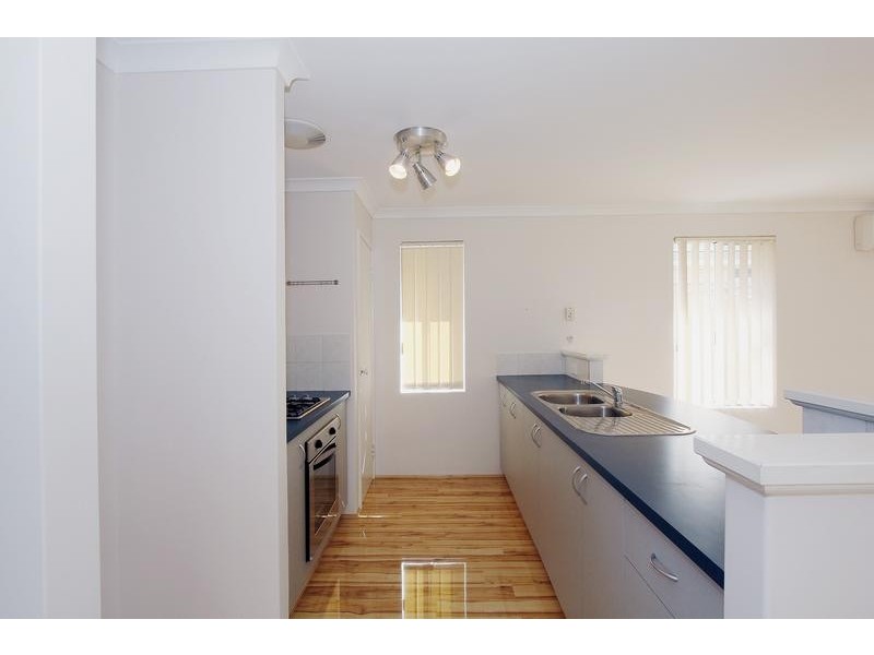31 Tollesbury Avenue, Butler WA 6036