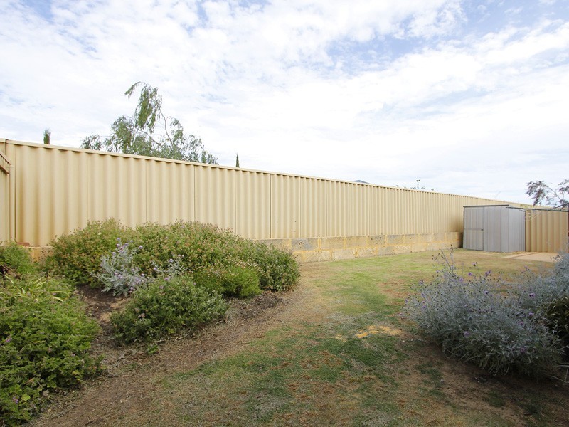 16 Brasted Way, Butler WA 6036