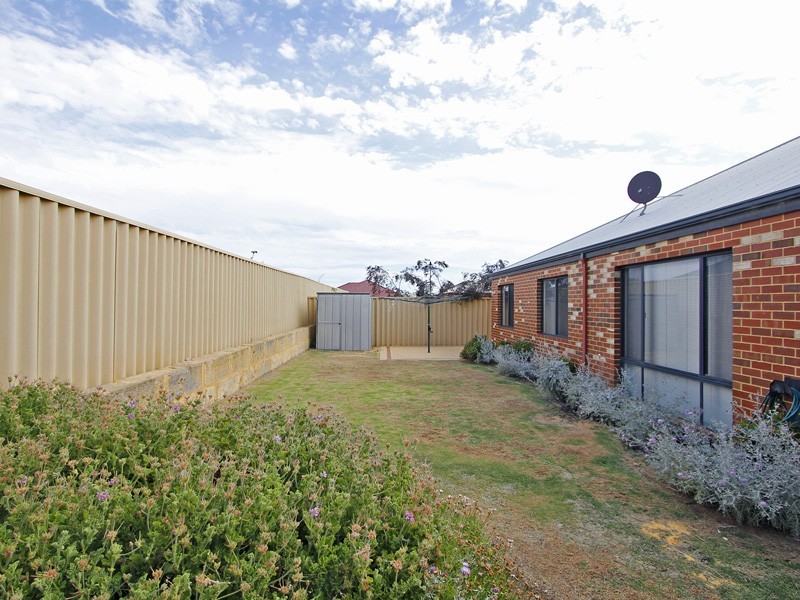 16 Brasted Way, Butler WA 6036