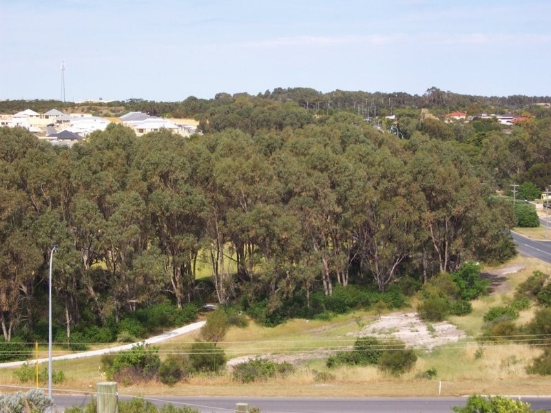47 Beachhaven Drive, Yanchep WA 6035