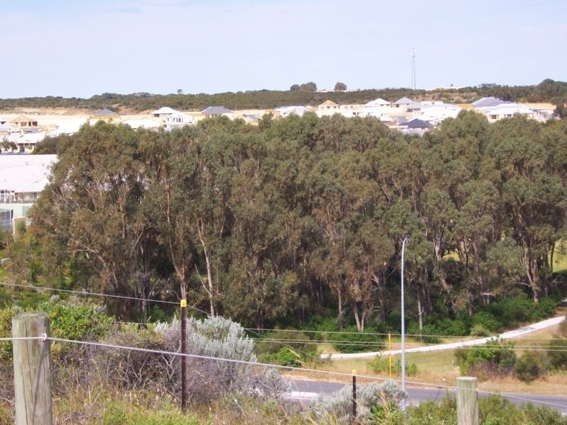 47 Beachhaven Drive, Yanchep WA 6035