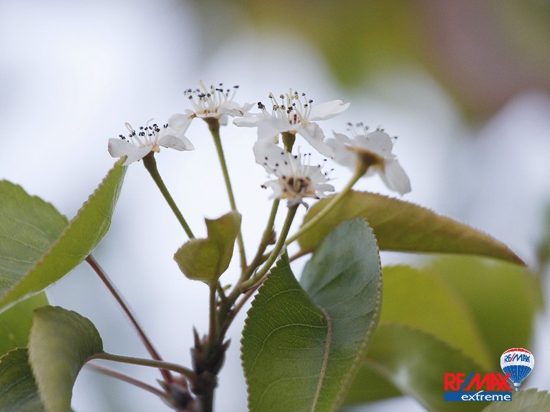 18 O’Mara Boulevard, Iluka WA 6028