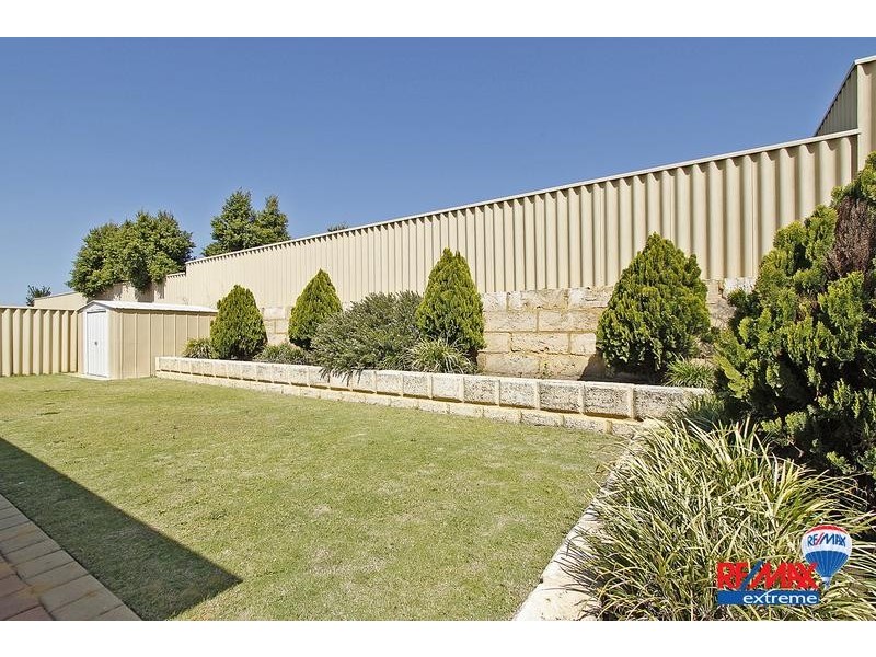 17 Pendleton Crescent, Butler WA 6036