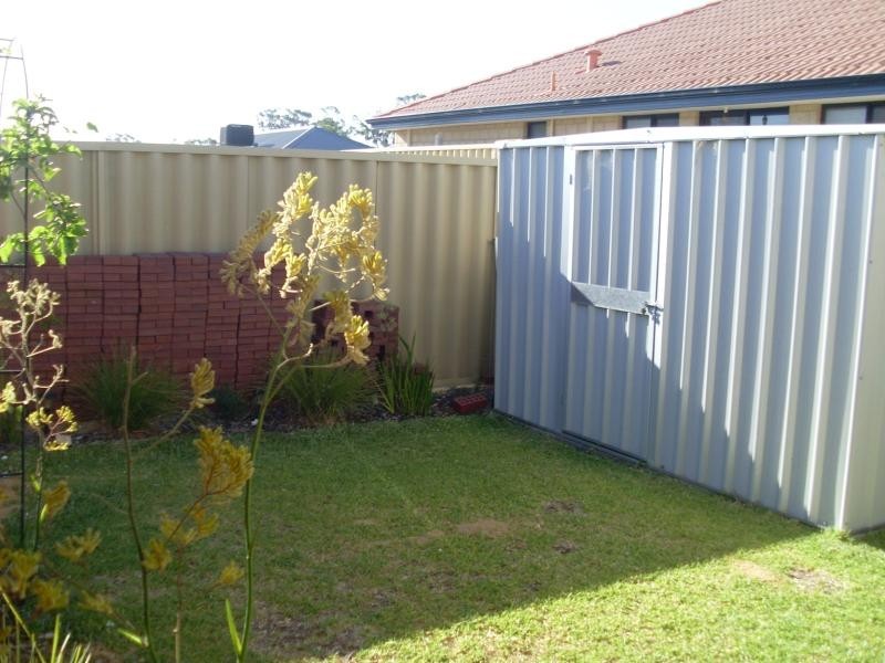 16 Melvich Green, Butler WA 6036