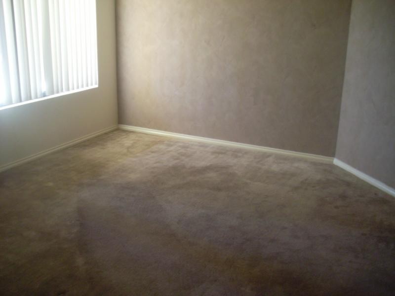 29 Pendleton Crescent, Butler WA 6036