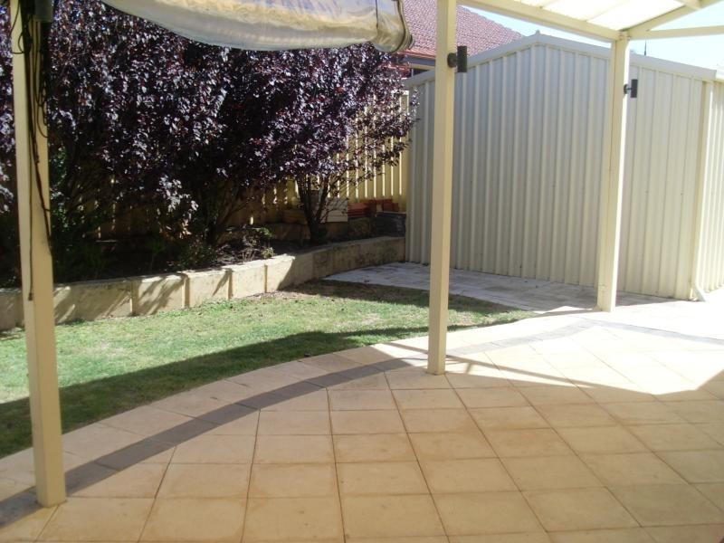 29 Pendleton Crescent, Butler WA 6036