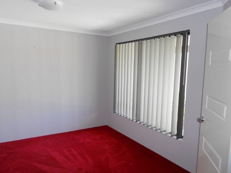 9 Broadford Ave, Butler WA 6036