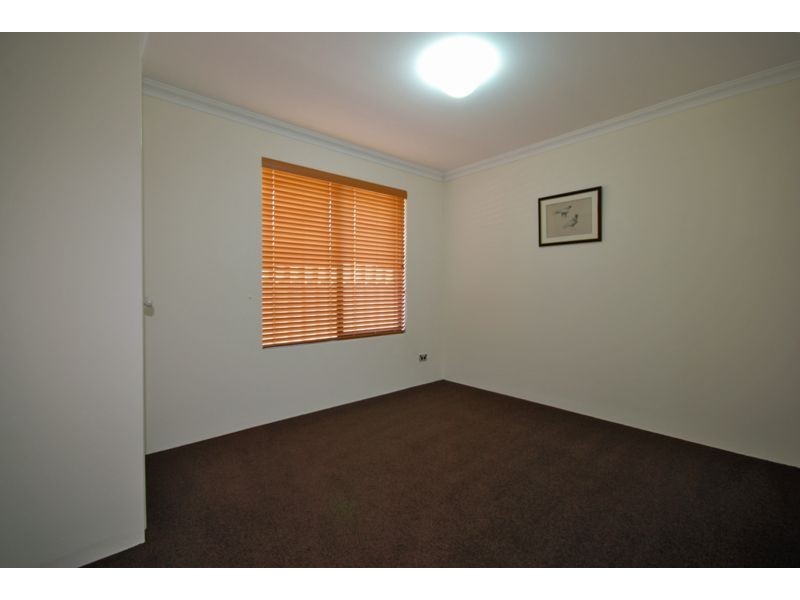 17 Bodorgan Avenue, Butler WA 6036