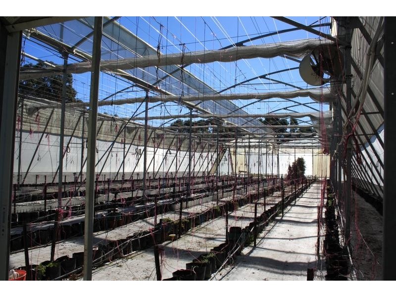 855 Muchea South Road, Muchea WA 6501