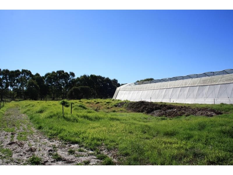 855 Muchea South Road, Muchea WA 6501