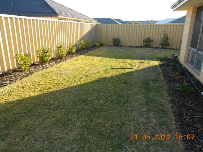 33 Broadford Avenue, Butler WA 6036