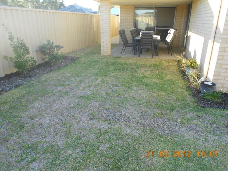 33 Broadford Avenue, Butler WA 6036