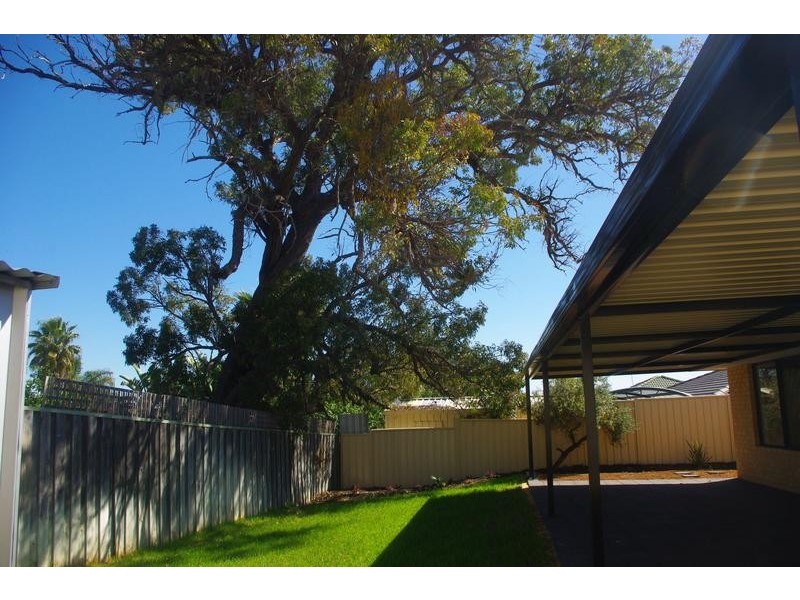 29 Salmond Turn, Wanneroo WA 6065