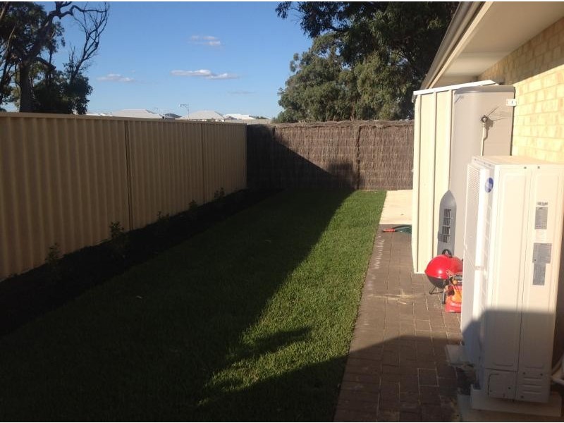 56 Broadford Ave, Butler WA 6036