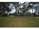 47 Carosa Road, Ashby WA 6065