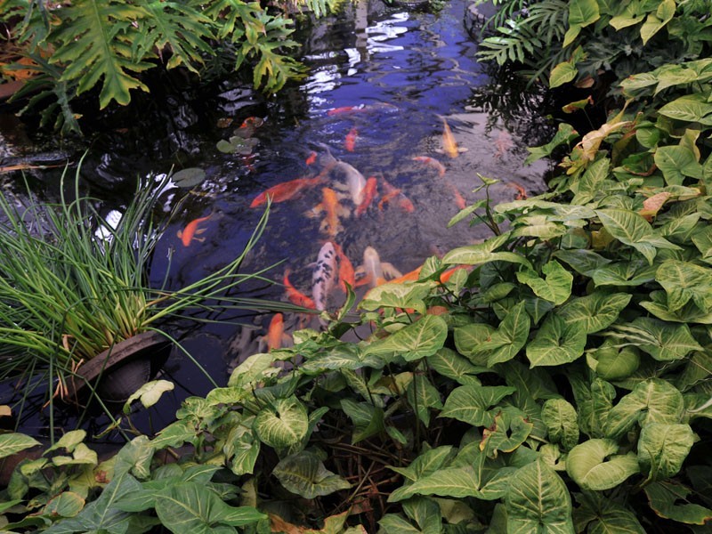 45 Asturian Drive, Henley Brook WA 6055