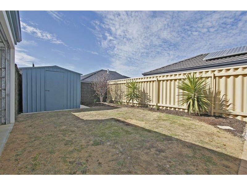 31 Tollesbury Avenue, Butler WA 6036