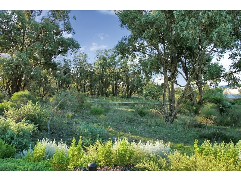 49 Broadford Avenue, Butler WA 6036