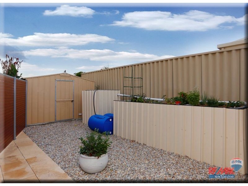 7 Swanmore Street, Butler WA 6036