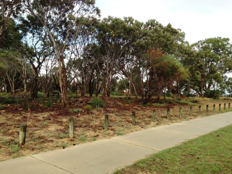 41 Ashbrook Avenue, Pearsall WA 6065