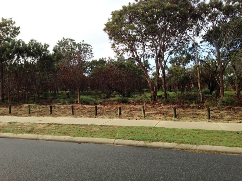 41 Ashbrook Avenue, Pearsall WA 6065