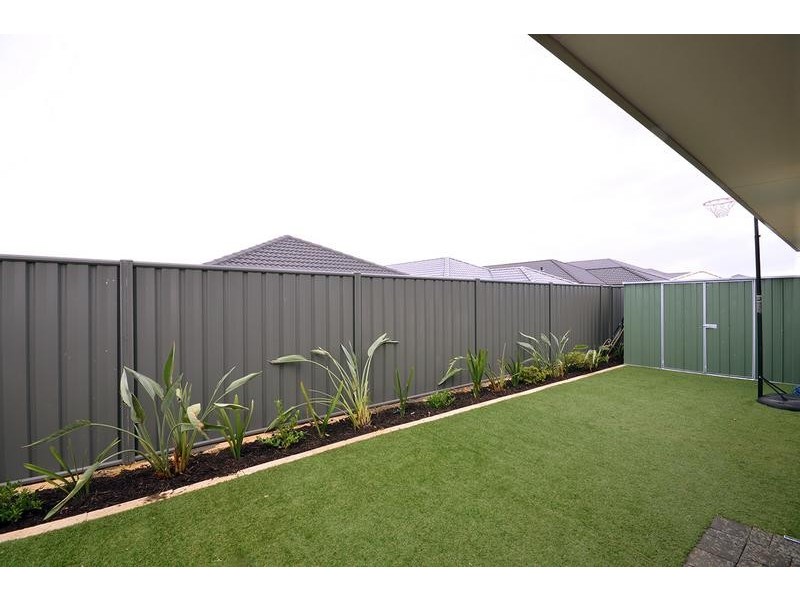 11 Manyleaf Link, Banksia Grove WA 6031