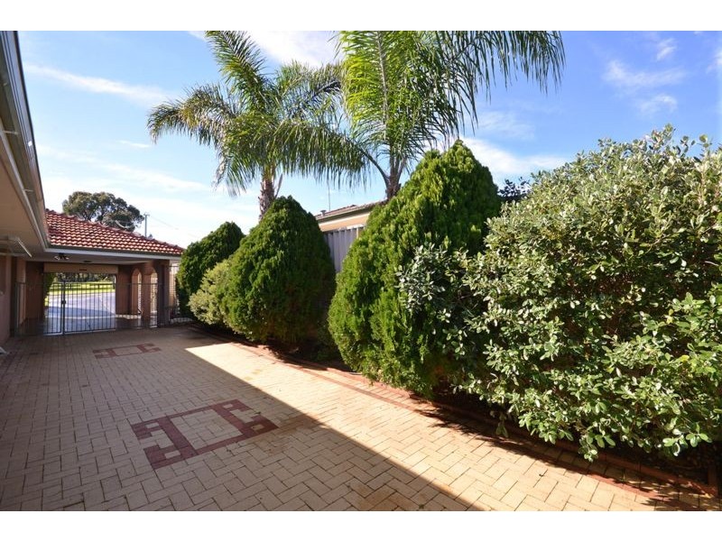 37 Nolyang Crescent, Wanneroo WA 6065