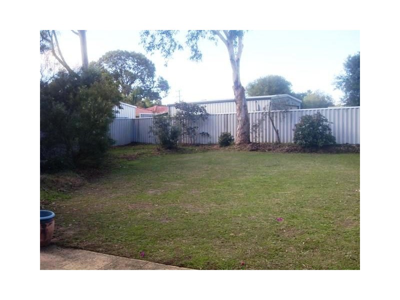 29 Sapling Way, Hocking WA 6065