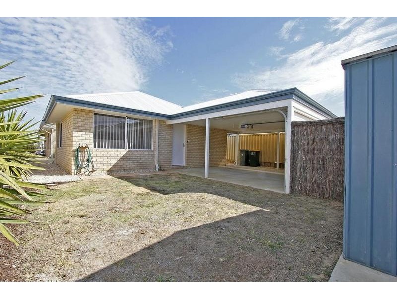 31 Tollesbury Avenue, Butler WA 6036