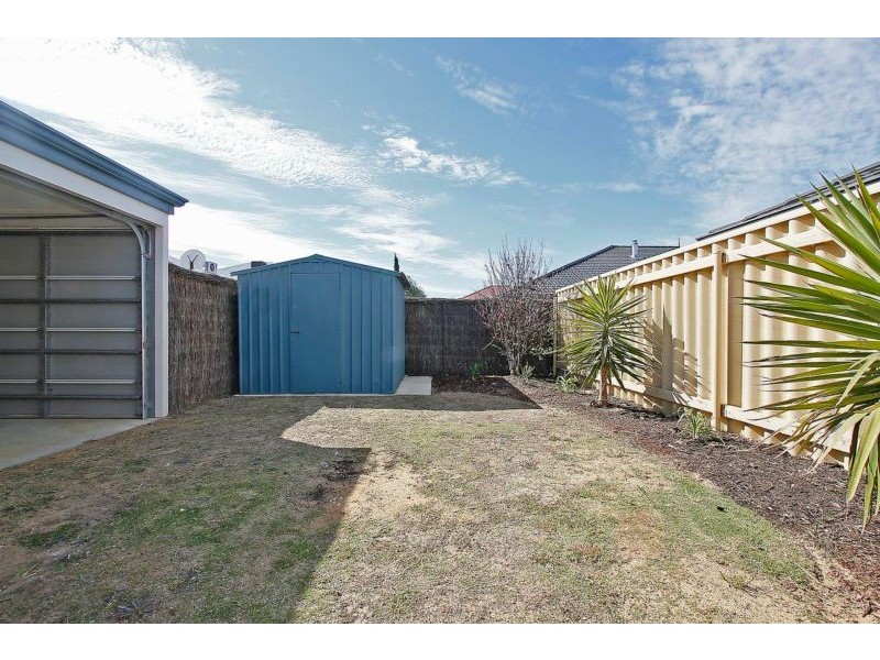 31 Tollesbury Avenue, Butler WA 6036