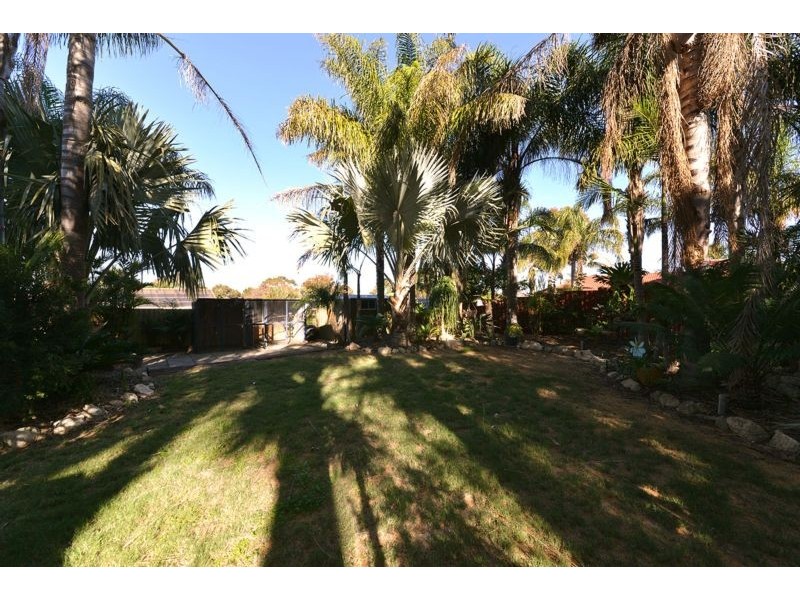 40 Paltara Way, Wanneroo WA 6065