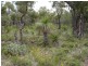 25 Pipe Lily Way, Lower Chittering WA 6084